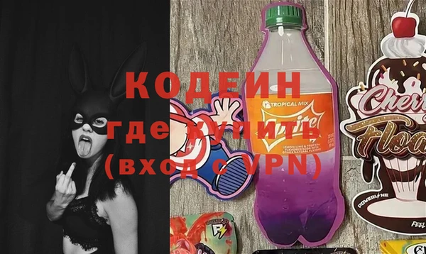 индика Бородино