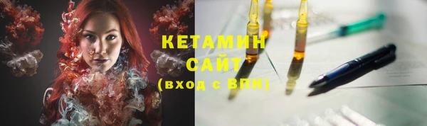 индика Бородино