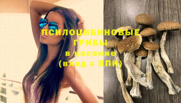 MESCALINE Богданович