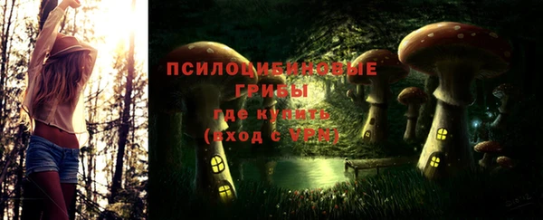 амфетамин Богородск